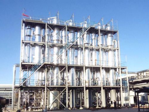 ��Ĥ���l��